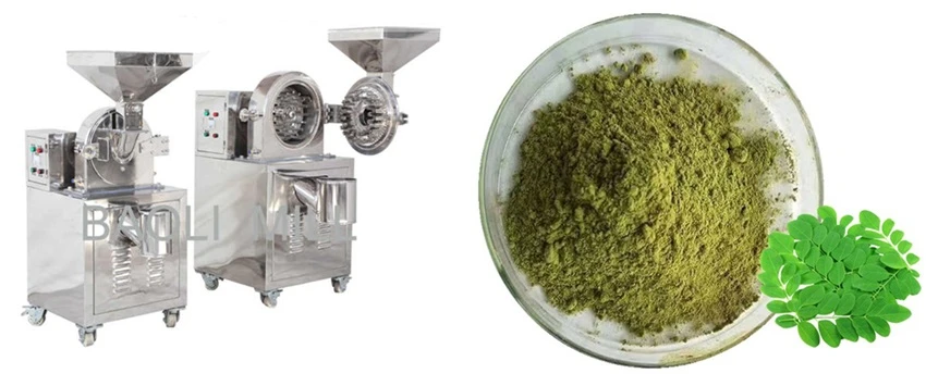 Moringa Leaves Powder Making Machine Moringa Leaves Powder Making Machine